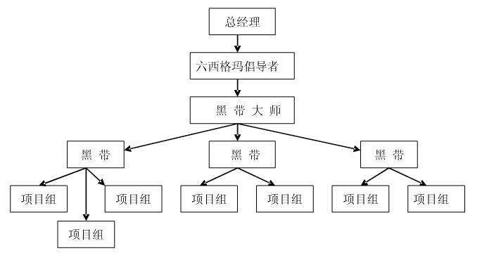 六西格瑪項目執(zhí)行團隊的人員結(jié)構(gòu)剖析    