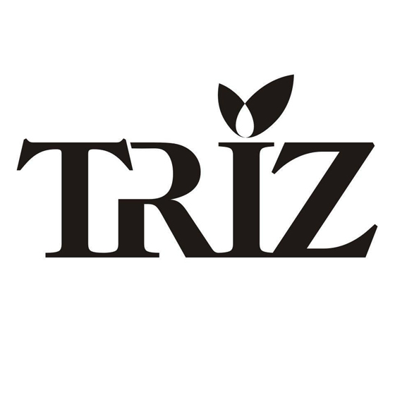 如何從TRIZ的初學者，成為解決問題的高手