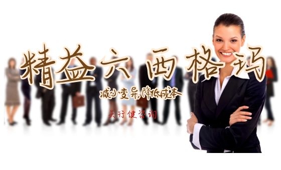 精益六西格瑪在方法、技術(shù)層面的實施