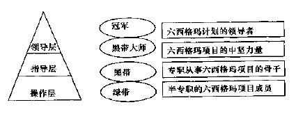 六西格瑪管理團(tuán)隊(duì)組織模式創(chuàng)新